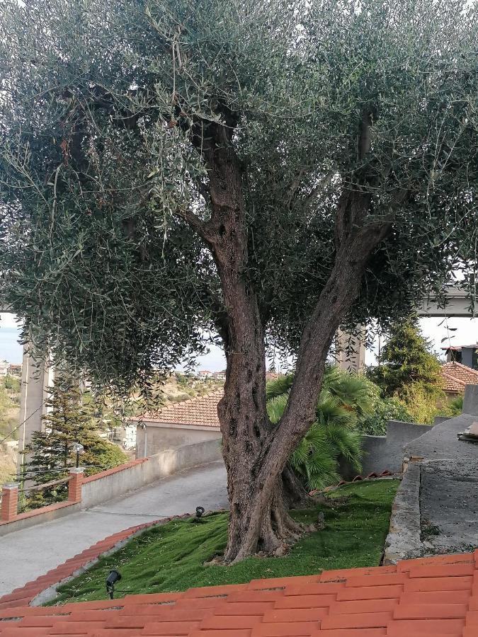 La Casa Di Trilly Ξενοδοχείο Σαν Ρέμο Εξωτερικό φωτογραφία